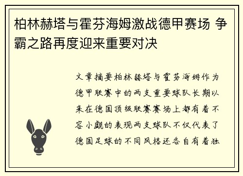 柏林赫塔与霍芬海姆激战德甲赛场 争霸之路再度迎来重要对决