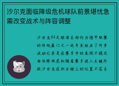沙尔克面临降级危机球队前景堪忧急需改变战术与阵容调整