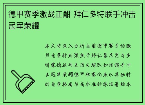 德甲赛季激战正酣 拜仁多特联手冲击冠军荣耀