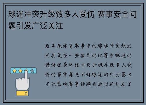 球迷冲突升级致多人受伤 赛事安全问题引发广泛关注