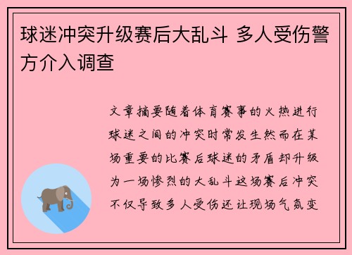 球迷冲突升级赛后大乱斗 多人受伤警方介入调查